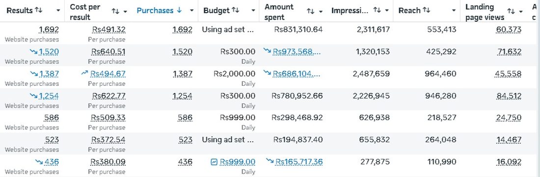 Meta Ads · Scale result